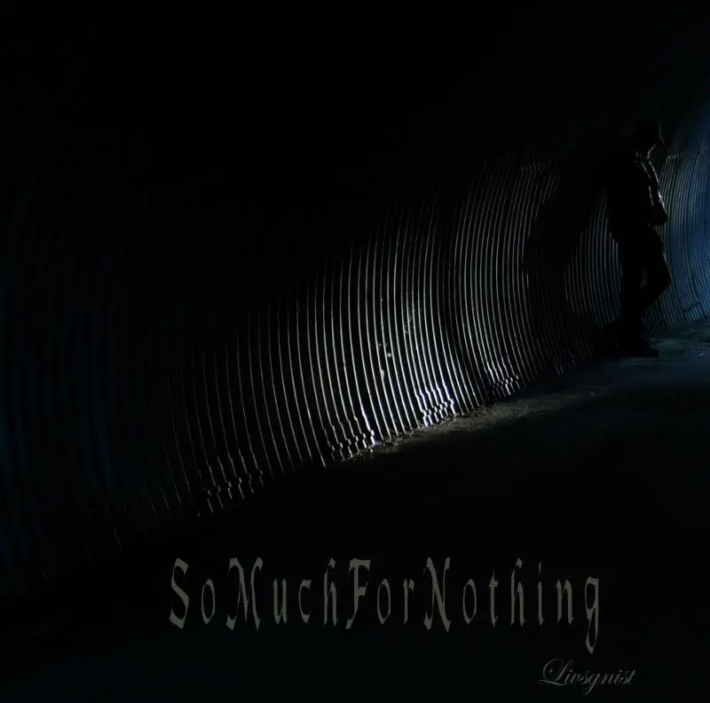 Livsgnist - So Much For Nothing